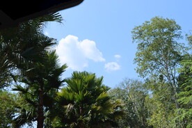 西双版纳热带植物园