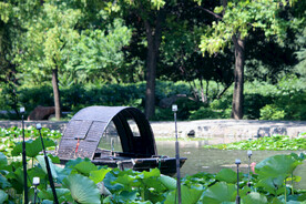 夏