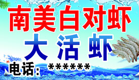 对虾