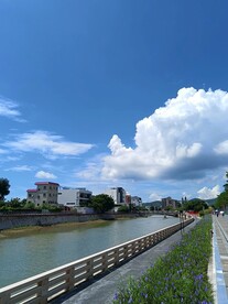 江边景色