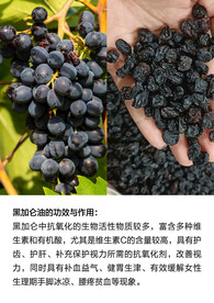 黑加仑油