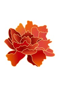 红色的花