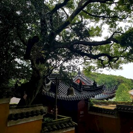 普陀