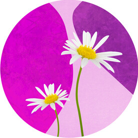 唯美小邹菊水彩圆形挂画装饰画