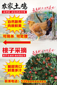 农家乐