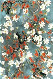 玉兰花