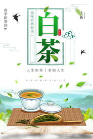 白茶茶叶茶文化宣传海报