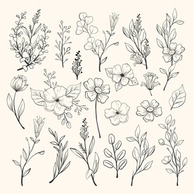 素描线描花卉树叶元素