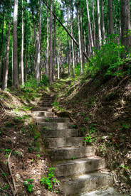 山林小道