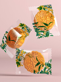 月饼包装样机
