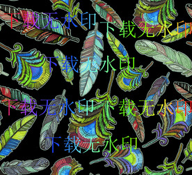 数码印花  大牌 羽毛  树叶