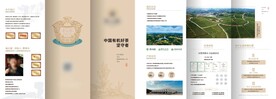 茶叶折页
