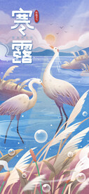 寒露海报