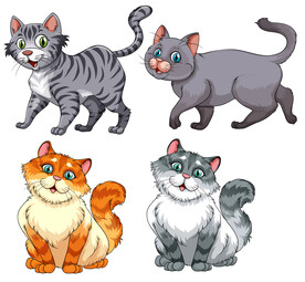 宠物猫矢量