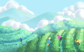 茶山插画