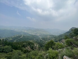 博山红叶柿岩