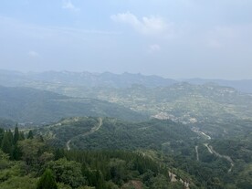博山红叶柿岩