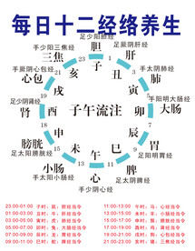 每日十二经络养生