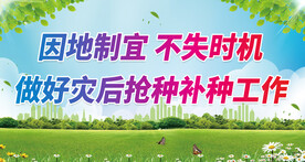 抗洪标语 