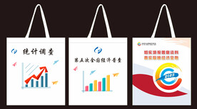 经济普查无纺布袋帆布袋袋子