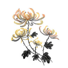 水墨菊花