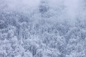 雪景