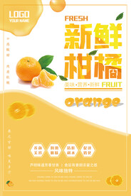 清新大气风美食新鲜柑橘海报