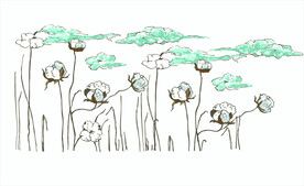 棉花