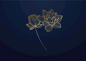 矢量莲花