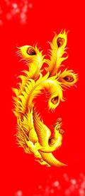 凤