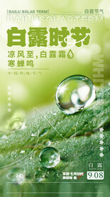 白露