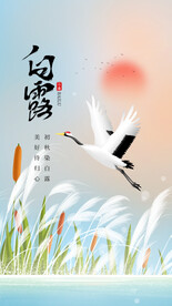 白露