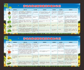 劳动实践创新园蔬菜种植知识栏