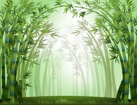 竹林