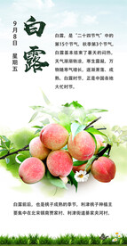 白露