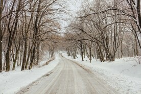 雪景