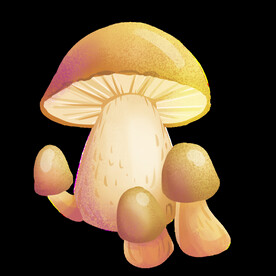 蘑菇
