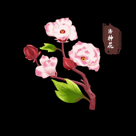 洛神之花