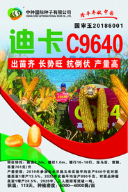迪卡
