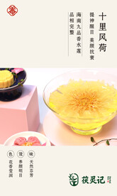十里风荷 产品卡片