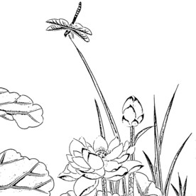 花鸟白描
