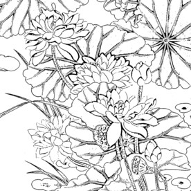 花鸟