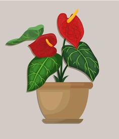 花盆