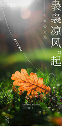 秋分