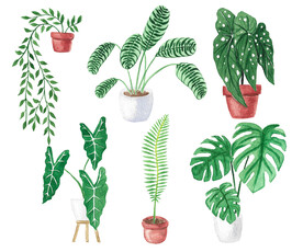 盆栽绿植矢量元素