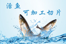活鱼  海鲜店