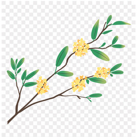 手绘桂花插画