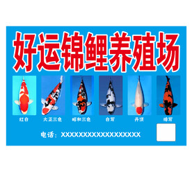 锦鲤