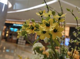 假花 假草