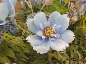 假花 假草